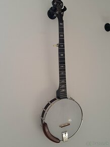 Banjo Deering - 6