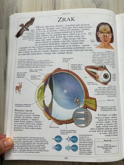 Detská ilustrovaná encyklopédia - Živý svet - 6