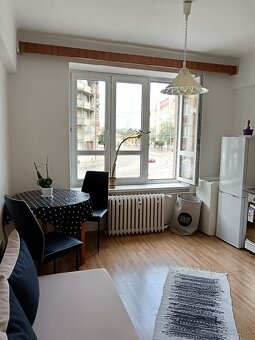 1,5IZB 63M2 S LOGGIOU CENTRUM PRI STEREJ RADNICI - 6