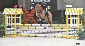 Pony do sportu - 6