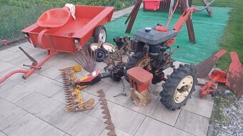 Tera vari - 6