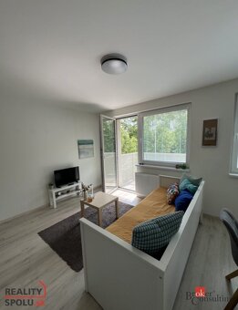 Malý veľký štart: nový byt pre pár alebo sólo nájomníka / A - 6