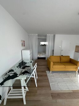 Prenájom 1,5 izbový bytu s predzáhradkou - 6