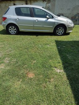 Peugeot 307 - 6