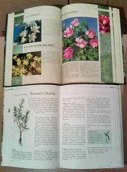 Knihy pre zdravie - liečivé byliny - 6