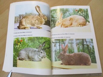 Chováme králiky - 4 - 6