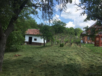 Predám záhradu / vinicu v kat. území Levice časť Staré Levic - 6