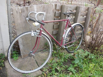 Stary favorit,eska - 6