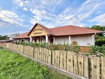 MAĎARSKO - GONC TOP PENZIÓN BLÍZKO SLOVENSKÝCH HRANÍC, VÝBOR - 6