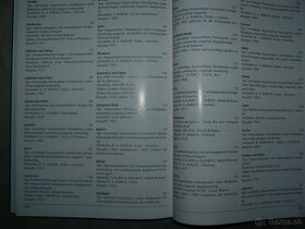 Historické Stříkačky - 6