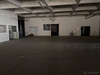 Haly na prenájom - 6