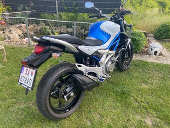 Suzuki SFV Gladius 650 - 6