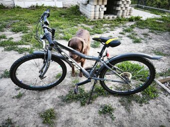 Predám detský bicykel - 6