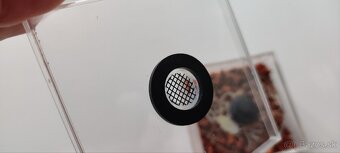 GRINDAL (Enchytraeus Buchholzi) - 6