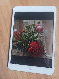Ipad mini - 6