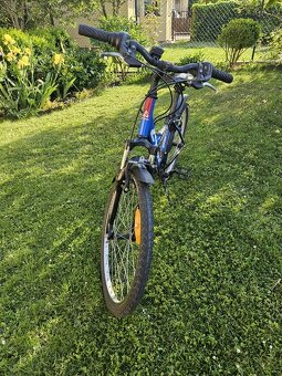24" bicykel CTM Willy 2.0 modrý - 6