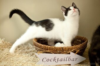 Aleš a Markétka- úžasné povahy,priateľské,otvorené,dôverčivé - 6