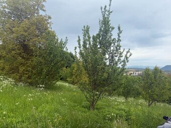 Ponúkam na predaj pozemok v Sabinove na RD s výhľadom.. - 6
