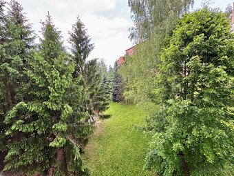 Prenajmem garsónku s balkónom na Banisku - 6