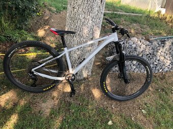 Rockrider AM 100 - 6