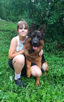 Nemecký ovčiak - 6