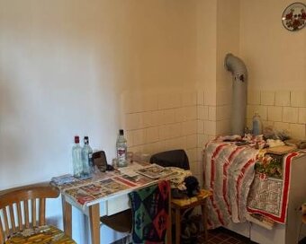 PREDAJ, VINIČNÝ DOMČEK S VINOHRADOM - PODLUŽANY - 6