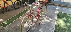 Mestký bicykel - 6
