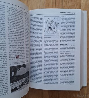 Bohovia a hrdinovia antickych baji - 6