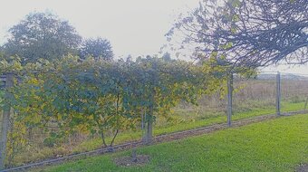 Rodinný dom s pozemkom - 6