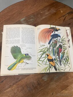 Svet živočíšnej ríše - 6