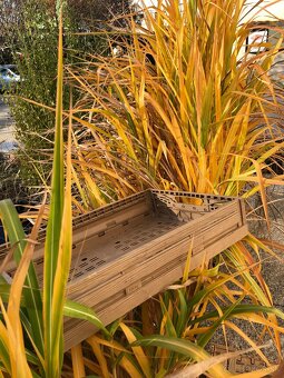 Bednička / Prepravka / skladací box s imitáciou dreva - 6