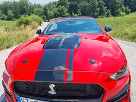 Ford Mustang Convertibile 5,0TI GT SHELBY Packet KIT - 6