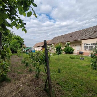 4 izbový, sedliacky rodinný dom s vedľajšími stavbami - 6