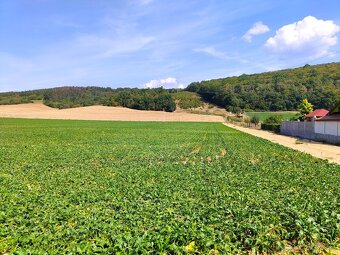 Trenčianske Bohuslavice - 5.850 m2 REKREAČNÝ pozemok - 6