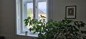 2 izbový byt na prenájom po kompletnej rekonštrukcii v staro - 6