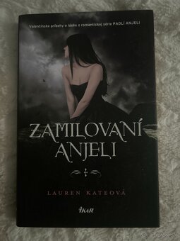 Séria Padlí anjeli od Lauren Kate - 6