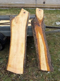 Orechové fošne - 6