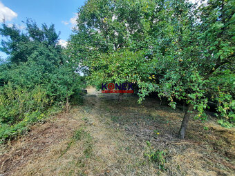 REZERVOVANÝ Rodinný dom v obci Nižný Hrušov - 6