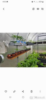 Polykarbonatovy sklenik - 6