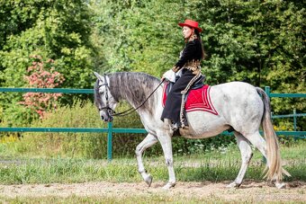 Andaluzký valach - 6