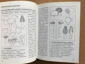 5 x literatura o hubach - 6