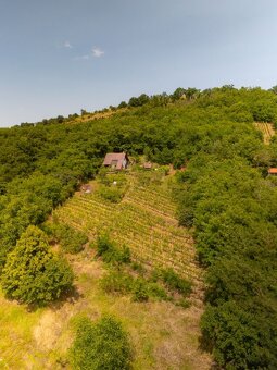 Vinica so záhradným domčekom v záhradkárskej oblasti Kráľovs - 6