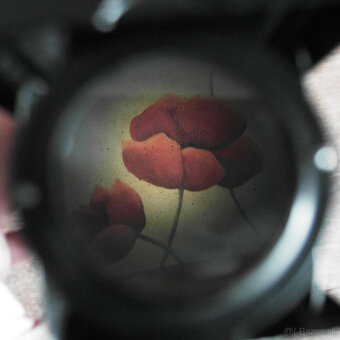 Starý fotoaparát Flexaret next - 6