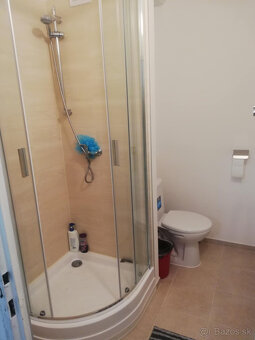 dam do prenajmu garsonku - 6