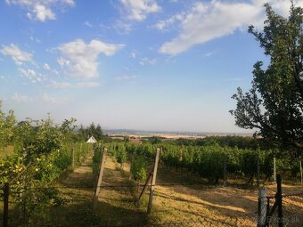 Predaj viničný domček , 646 m2 ,Rybník - 6