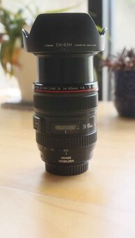 Canon 24-105mm f/4 L - 6