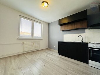 PRENÁJOM: 1IZBOVÝ VEĽKOMETRÁŽNY BYT, NOVÁ VES - DUNAJSKÁ STR - 6