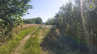 HALO reality - Predaj, rekreačný pozemok Nitra, Investičný p - 6