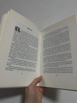 Peter Michel - Čarovný akvamarín - 6