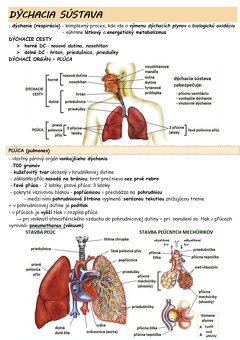 Maturita chémia, biológia, fyzika - 6